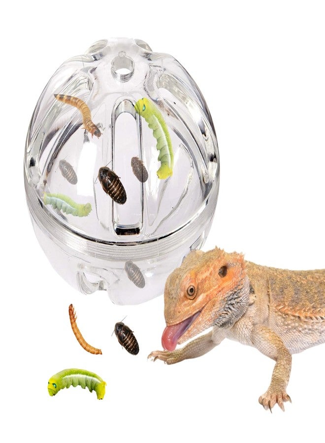 Odebyata Bearded Dragon Toy, Reptiles Lizard Geckos Large Worms Hornworms Slow Feeder,Chameleon Feeding Ball Toy Enrichment Interactive Feeding Ball Toy for Reptiles Tank Terrarium Decor - Image 1